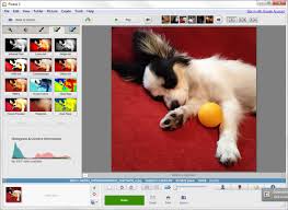 Picasa Resim Düzenleme Organize Programı