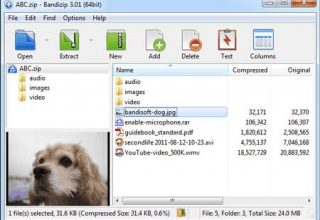 Ücretsiz Bandizip Arşivleme Programı