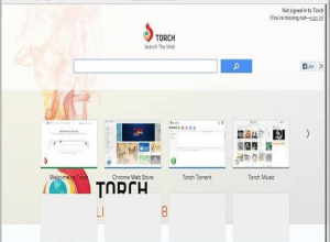 Torch Browser indir