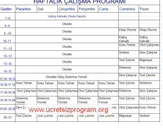 Öğrenciler İçin Haftalık Ders Çalışma Programı