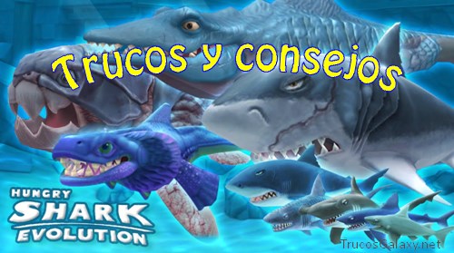 Hungry Shark World Windows Apk